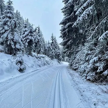 Hébergement de vacances Stuga Horni Blatna